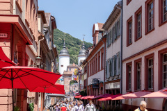 104-tanjahammel_fotografie_DSJV-AHAJ-20220616_HD-1